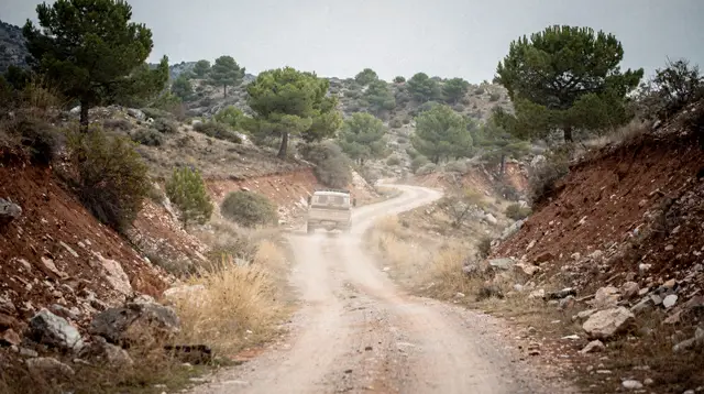 Jeep safaris