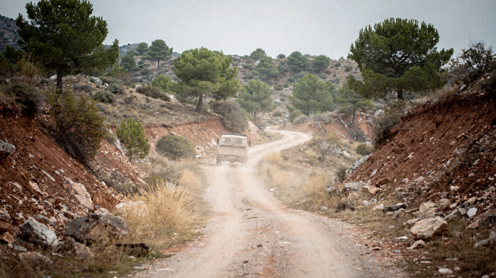 Jeep Safaris in the Taurus
