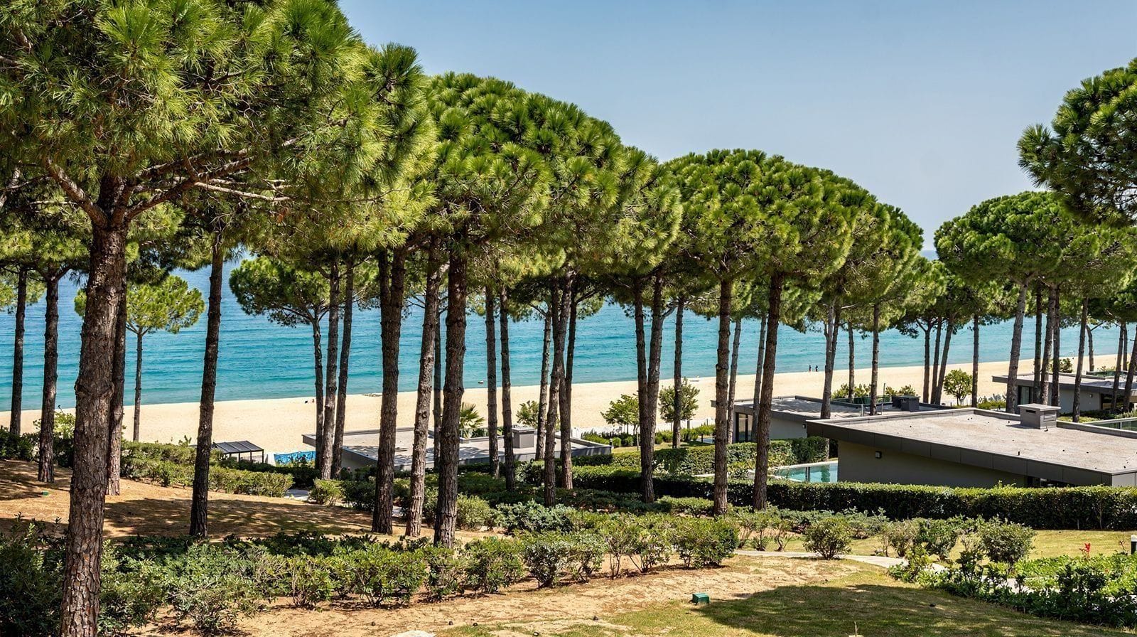 Belek
