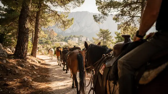 Horse Riding Near Alanya: Which Level Is It Really For?