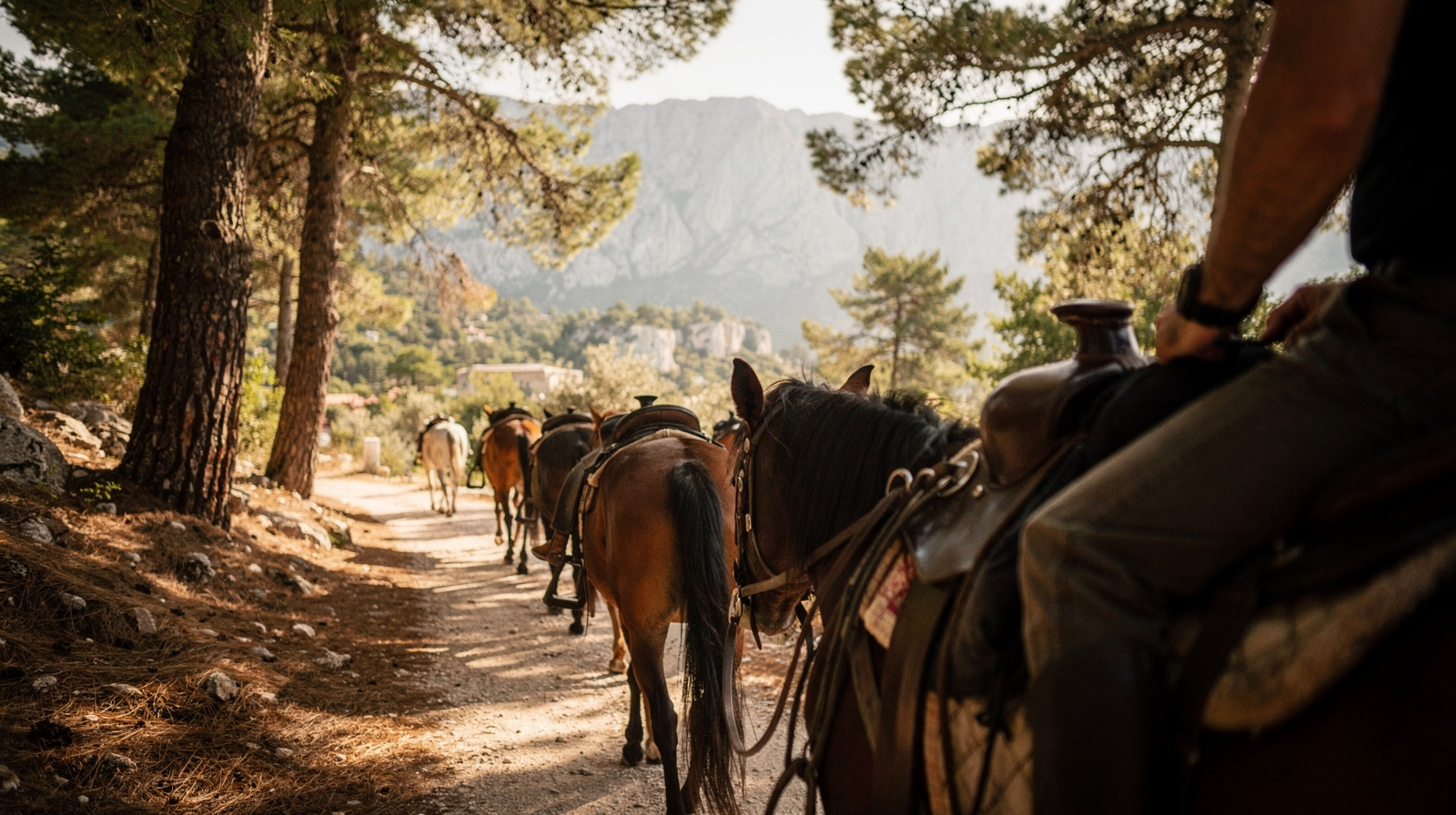Horse Riding Near Alanya: Which Level Is It Really For?