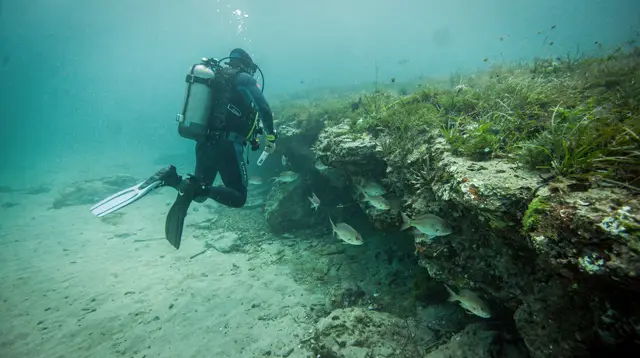 Scuba Diving in Alanya: Discovery Dives vs Certified Diving