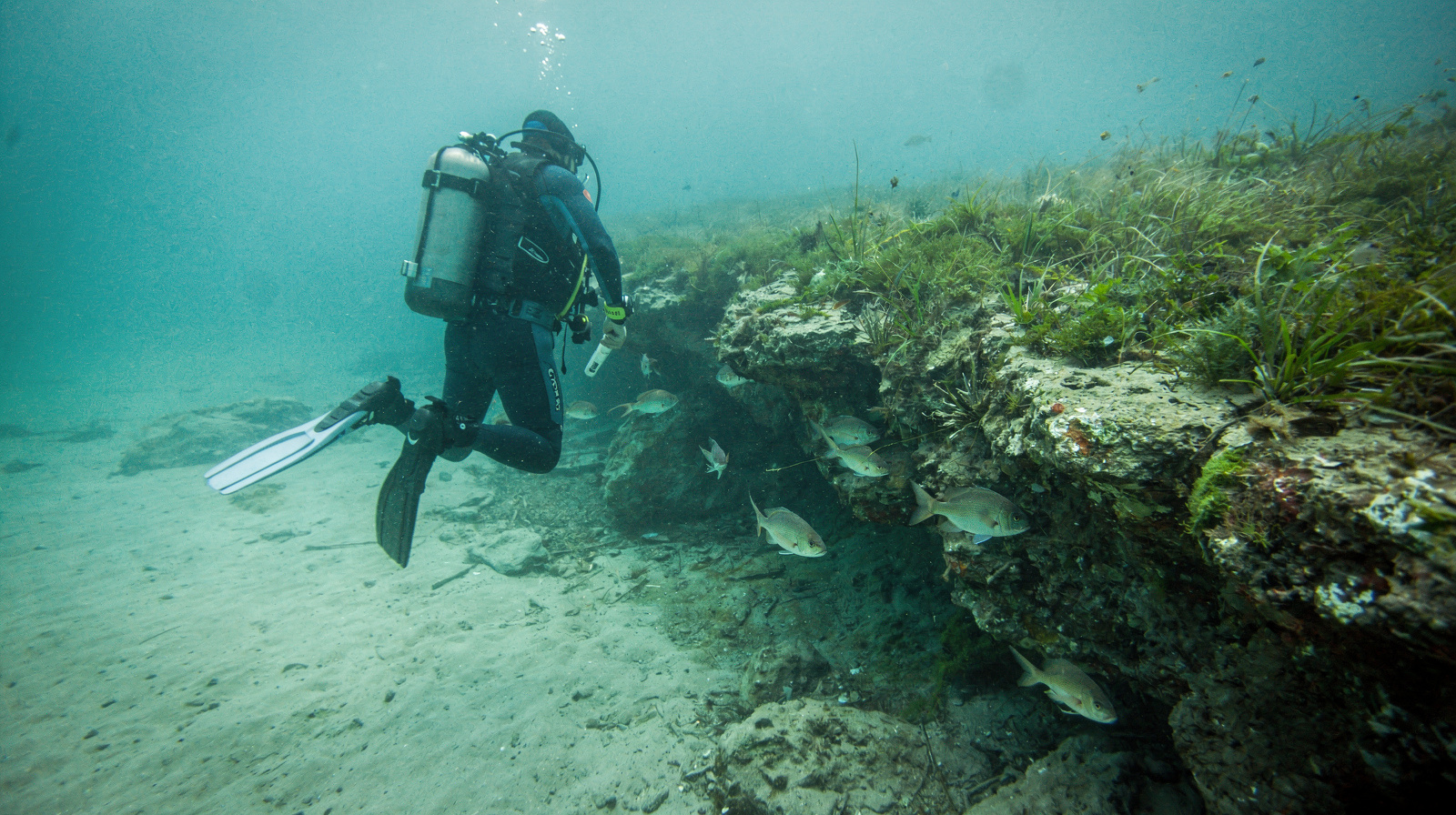Scuba Diving in Alanya: Discovery Dives vs Certified Diving