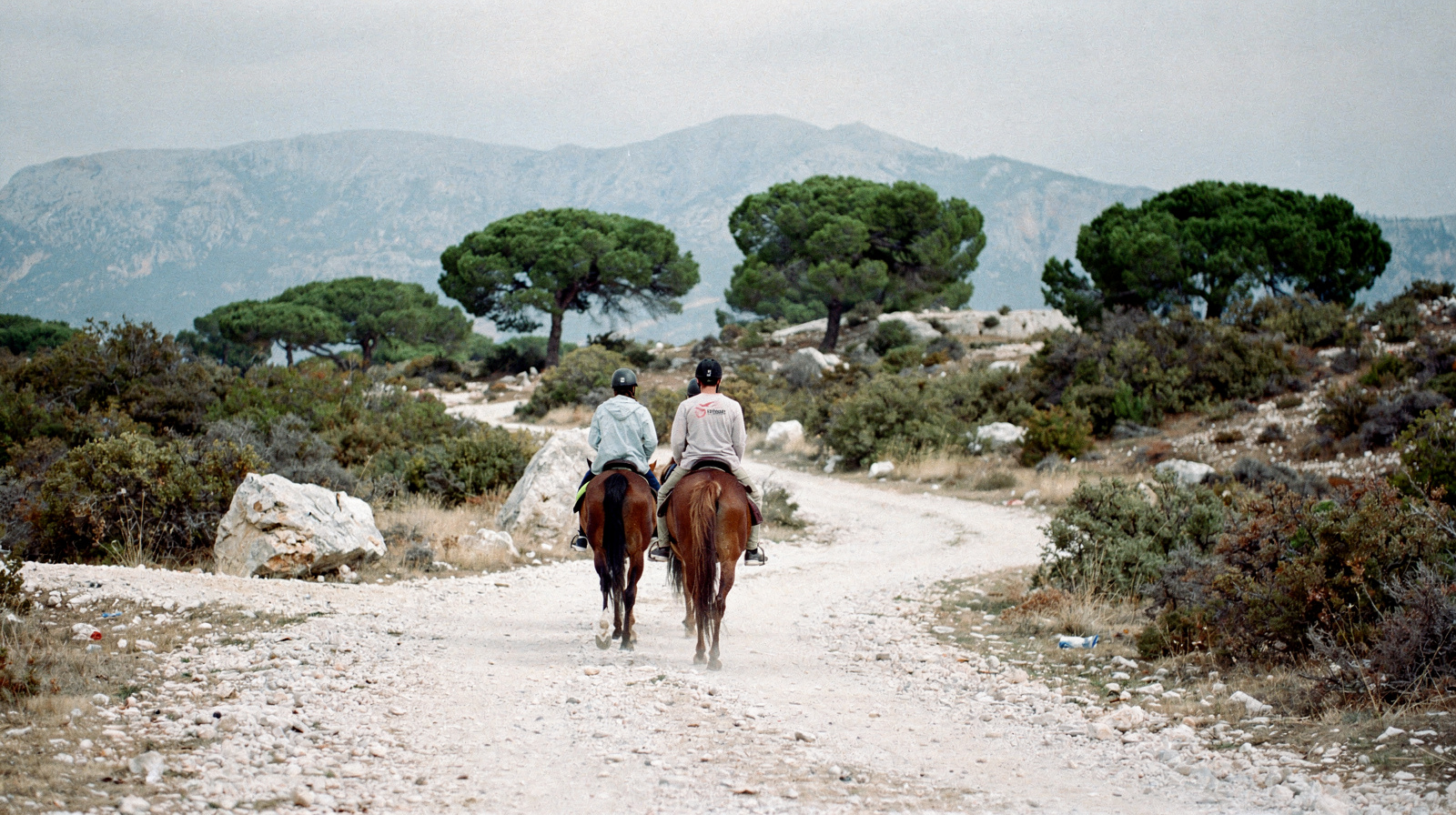Horse Riding Near Antalya: Which Level Is Each Ride Really For?