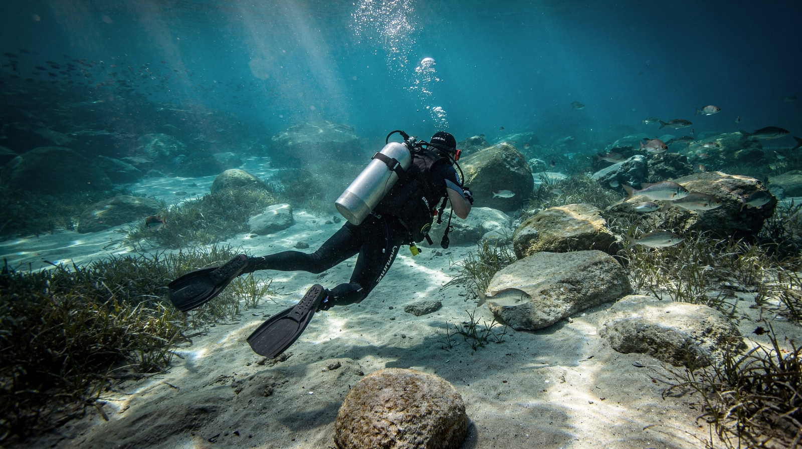 Belek Scuba Diving: Beginner Try-Dive or Certified Dive?