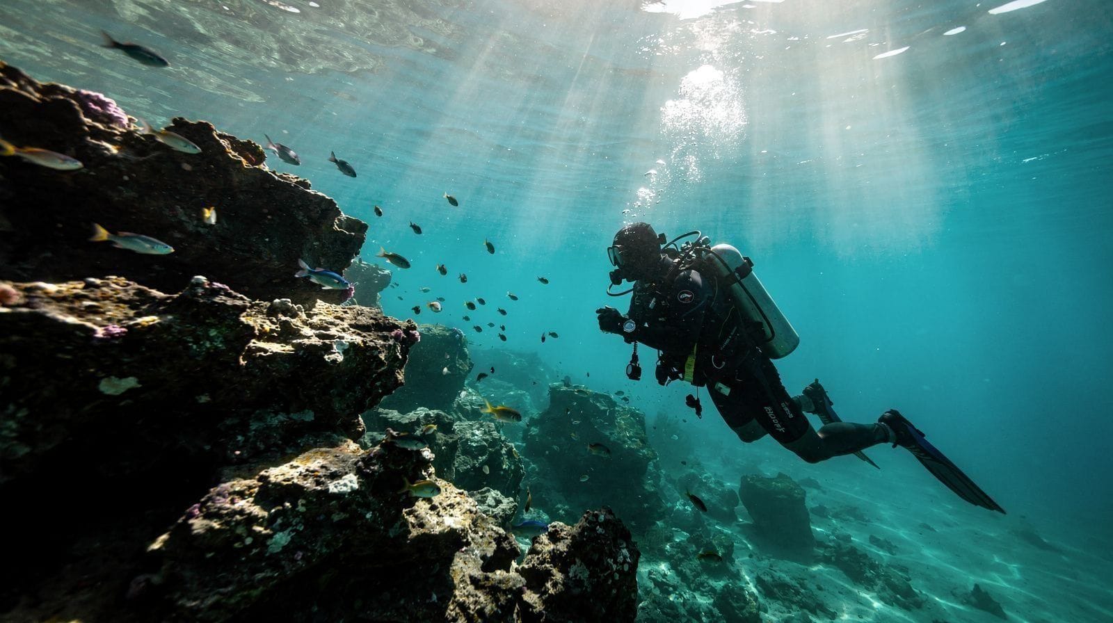 Scuba Diving in Kaş: Beginner Try-Dives vs Certified Diving