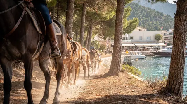 Horse Riding Near Kemer: Which Level Is It Really For?