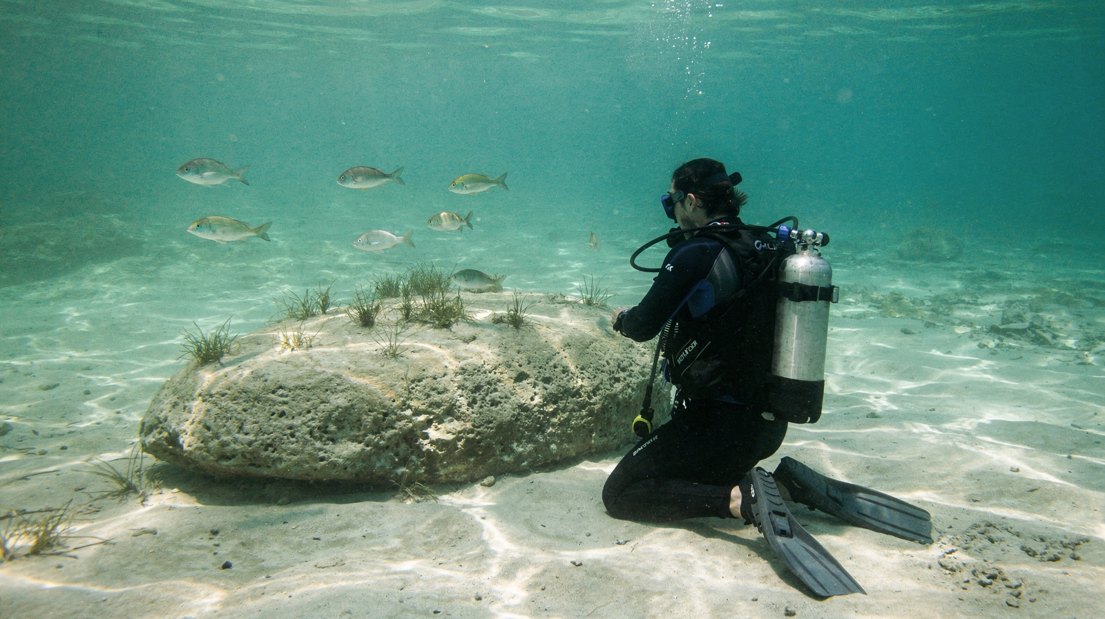 Scuba Diving in Kemer: Discover Dive or Certified Dive?