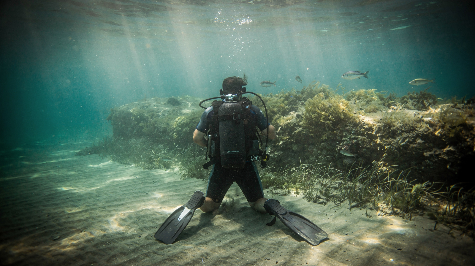 Scuba Diving in Manavgat: Try-Dive vs Certified Diving