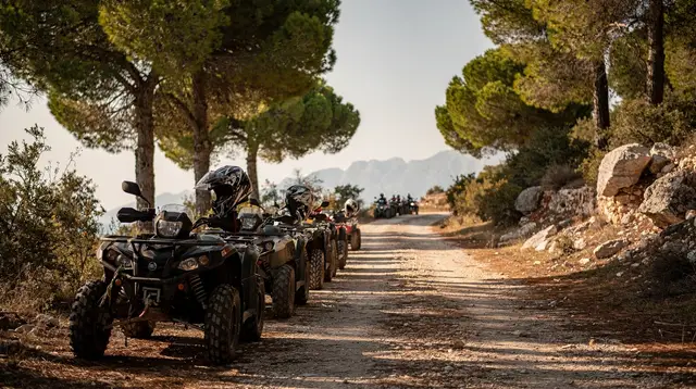 Quad Biking vs Buggy Safaris from Side