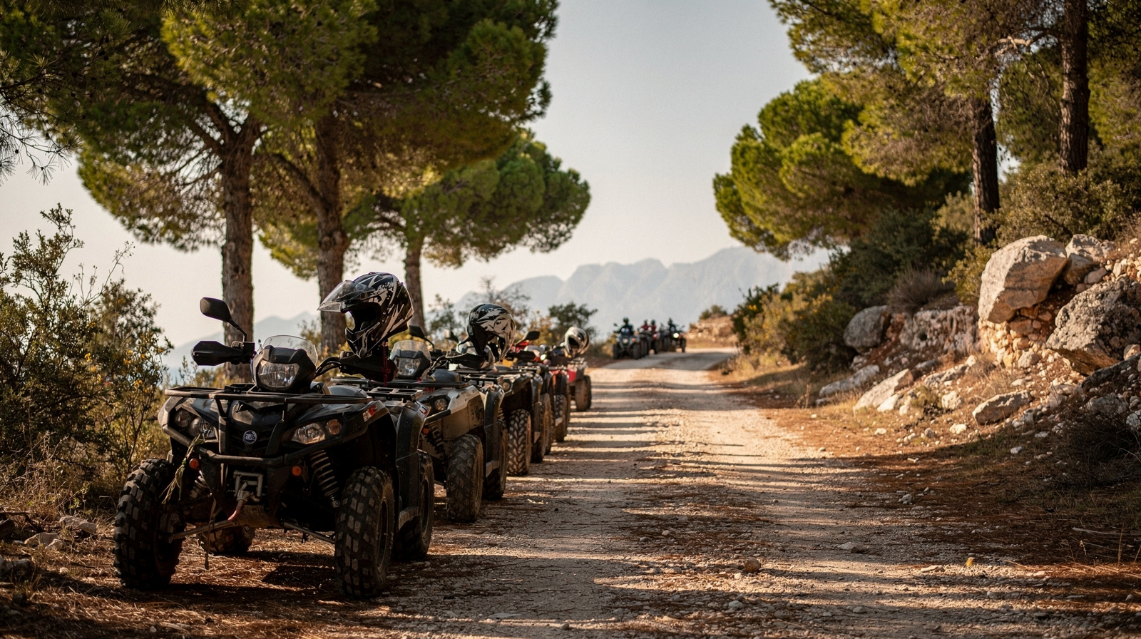 Quad Biking vs Buggy Safaris from Side